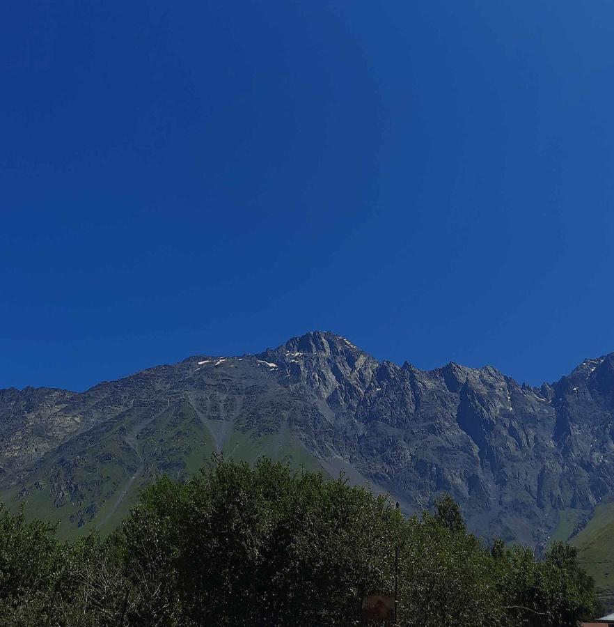 Trip Zone Kazbegi Apartment Bagian luar foto